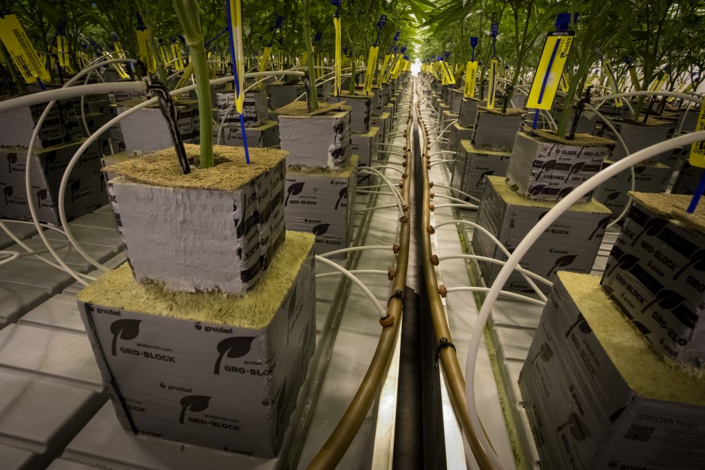 Cultivation meets Automation