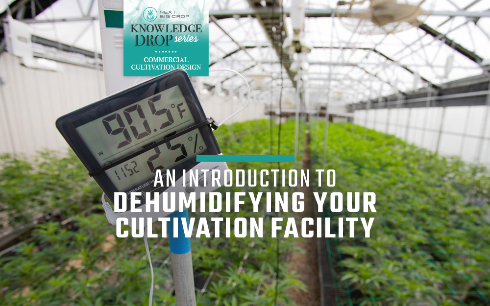 A large cannabis cultivation facility with grow facility dehumidifier with an overlay that reads An Introduction to Dehumidifying Your Cultivation Facility