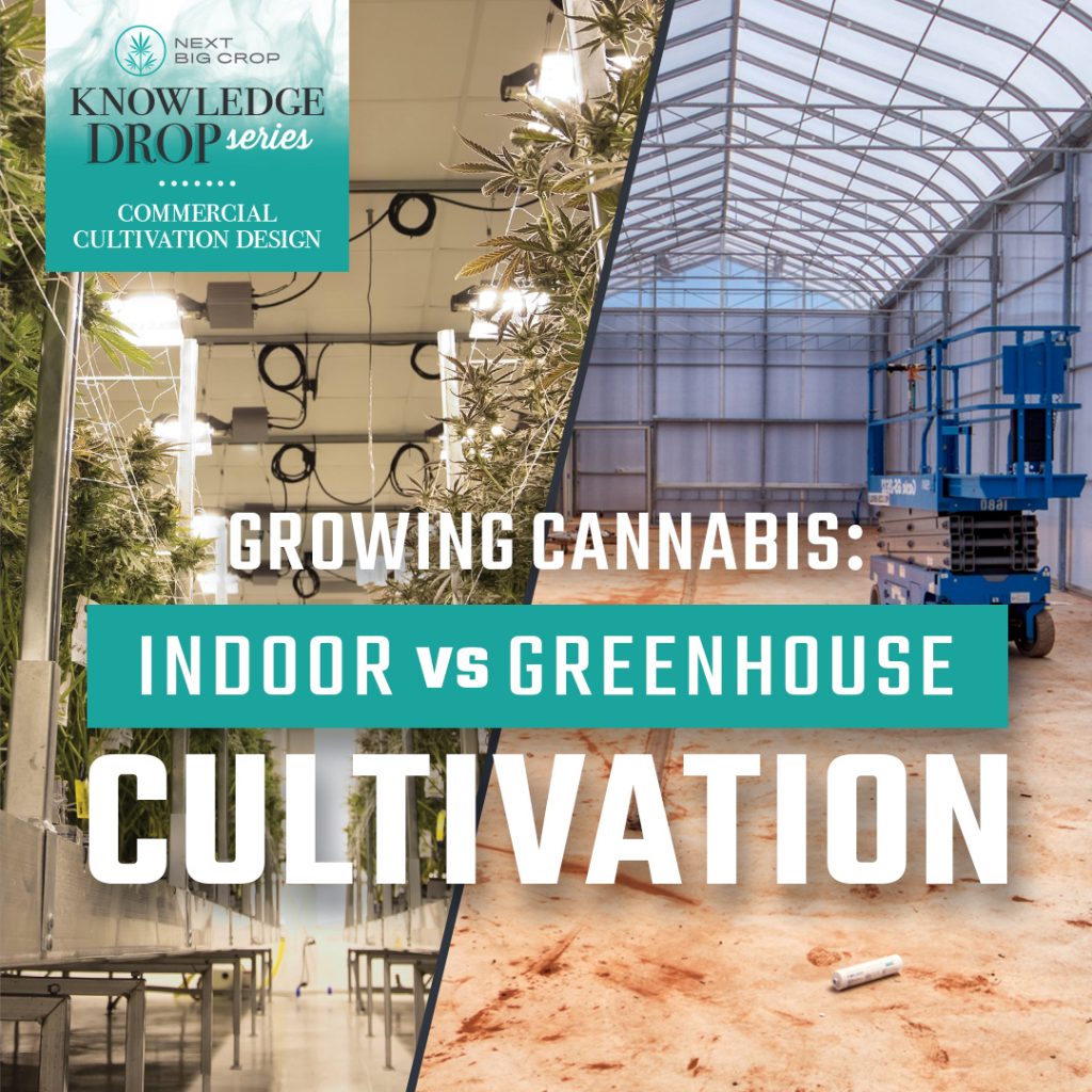 Indoor Vs Greenhouse Cultivation