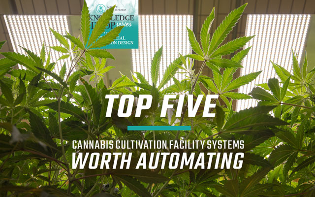 Top 5 Cannabis Cultivation Facility Systems Worth Automating