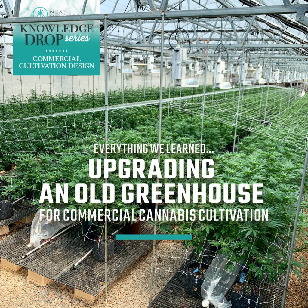 What-We-Learned-From-Upgrading-a-Commercial-Cannabis-Cultivation-Facility